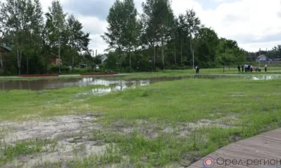 В рамках уголовного дела о хищении при благоустройстве парка в Болхове задержан директор подрядной организации