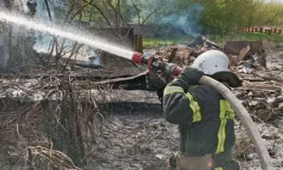 На Орловщине вместе с сухой травой сгорели дачные дома