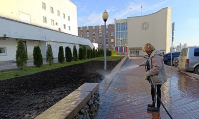 На клумбы Орла высаживают тысячи тюльпанов