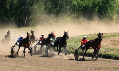 В Орле проведут конные бега на Кубок губернатора