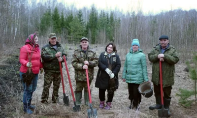 В Глазуновском районе высадили 1300 саженцев клёна остролистного