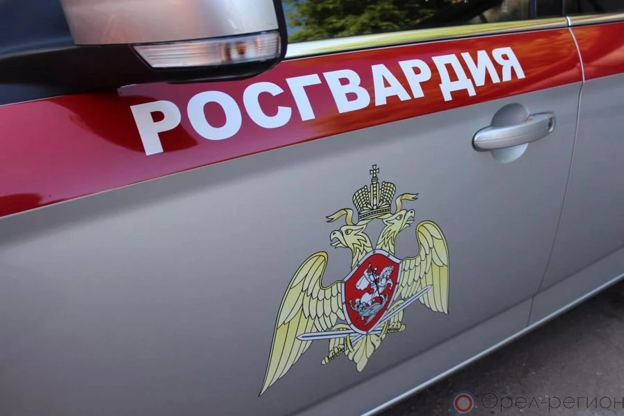 В Орле двое мужчин пытались обворовать магазины