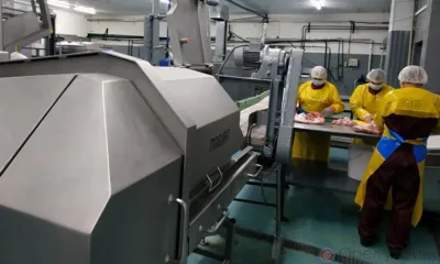 Мясные консервы из Орловской области будут поставлять в Нигерию, Иорданию, ОАЭ и Конго