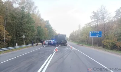 Водитель грузовика стал виновником смертельного ДТП на орловской трассе