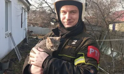 Из горящего жилого дома под Орлом спасли кошку