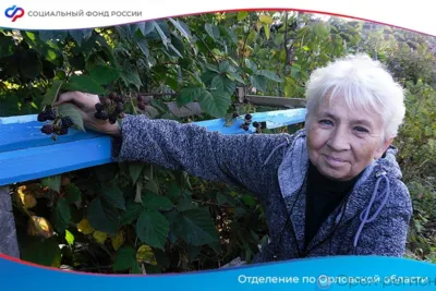 Орловцев приглашают к участию в фотоконкурсе «Ускользающее лето»