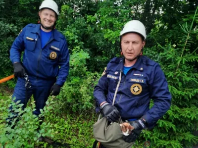 Орловские пожарные за сутки сняли с деревьев трёх котят