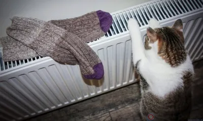 В Орле несколько домов и школа остались без отопления