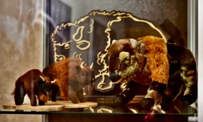 В Орле открыли музей зубра