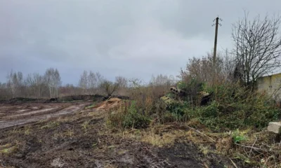 Брянский птицеводческий комплекс нарушал закон на территории Орловщины