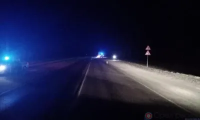 На орловской трассе под колёсами большегруза погиб пешеход