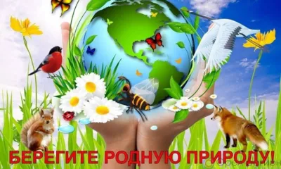 В Шаблыкинском районе неизвестный организовал свалку на землях сельхозназначения