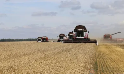 Орловские аграрии получат 430 млн рублей на компенсацию затрат