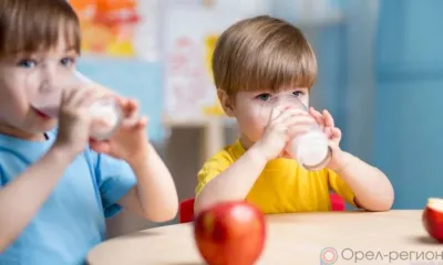 В Орле в детском саду нашли молочную продукцию с антибиотиками