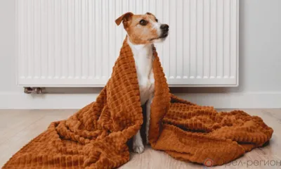 Сегодня до 17 часов в части Заводского района Орла не будет отопления и горячей воды