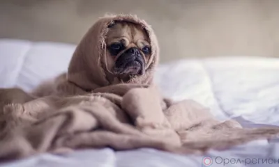 В Заводском районе Орла без отопления остались десятки домов, детсады и школа