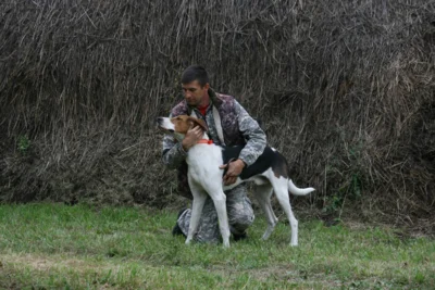 Фото 2. Музей-заповедник И. С. Тургенева представил программу летнего сезона