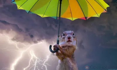 На Орловщине ожидается гроза и сильный ветер