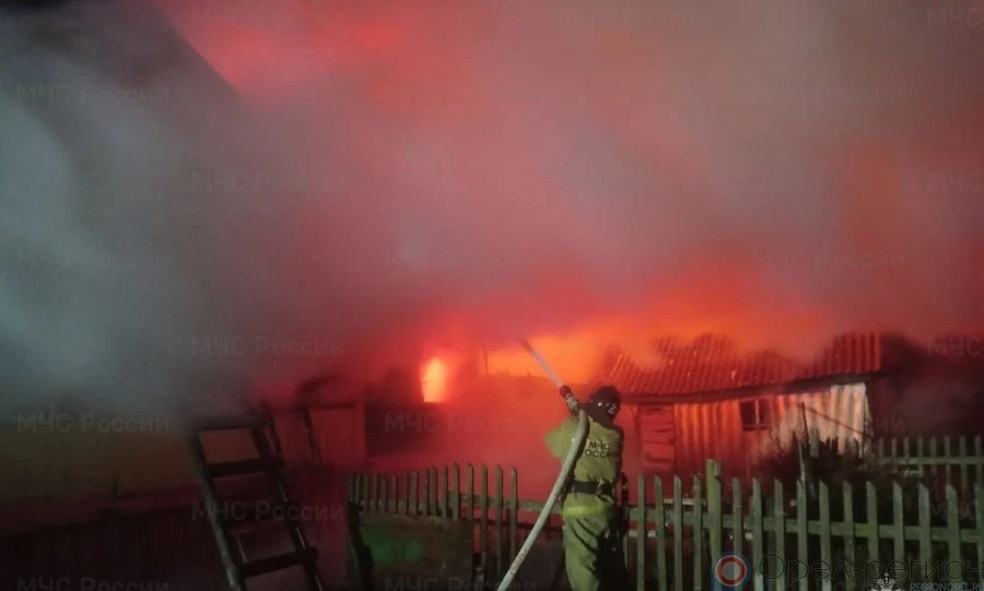 С начала года на Орловщине при пожарах погибли 8 человек