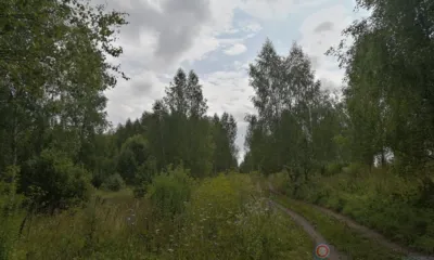 Возгораний в лесном фонде Орловщины не допущено