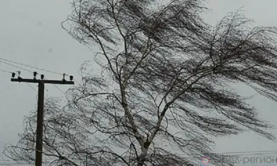 Орловцев ожидает мокрый снег и шквалистый ветер