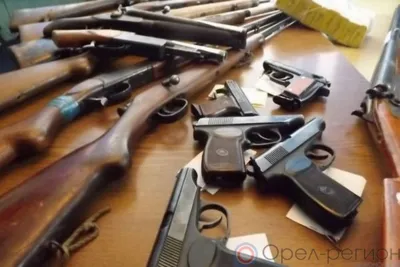 Росгвардейцы изъяли 12 единиц оружия у орловцев