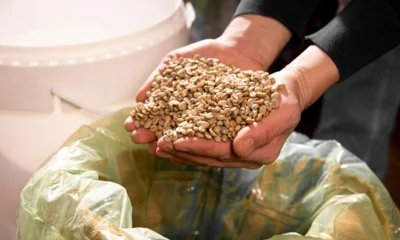 С начала года из Орловской области отгружено более 8 тысяч тонн продукции растениеводства