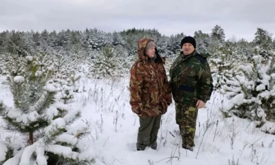 Орловцы не нарушили лесное законодательство в предновогодние дни