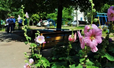 В Северном районе Орла благоустроили четыре двора