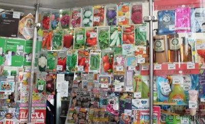 В почтовых отделениях Орловской области больше всего покупают семена, конверты и газеты