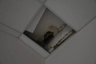 гимназия № 39