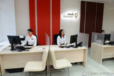 В «Единой России» разработали новые меры поддержки малого и среднего бизнеса