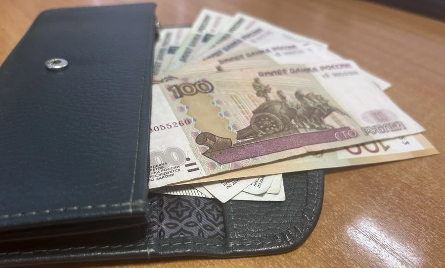 Воронежцы, белгородцы и липчане чаще других в Черноземье берут деньги до зарплаты