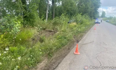 Под Орлом в аварии пострадали два ребёнка