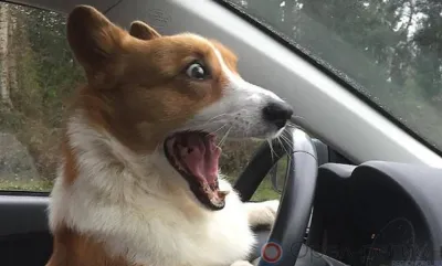 В Орле до конца декабря ограничили движение на трёх дорожных участках