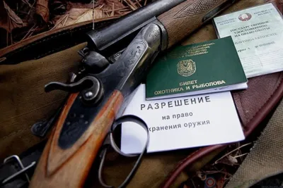 Орловское управление Росгвардии напоминает охотникам о соблюдении правил перевозки и использования оружия