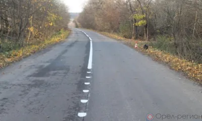Под Орлом неизвестный водитель сбил пенсионерку и скрылся