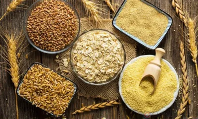 В 2022 году из Орловской области отгружено на экспорт более 26 тысяч тонн продуктов переработки зерна