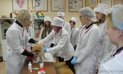 ОрёлГАУ запустил систему непрерывного аграрного образования