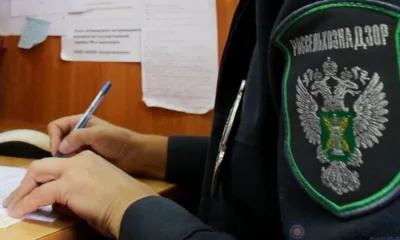 В Шаблыкинском районе оштрафовали свиноводческое хозяйство