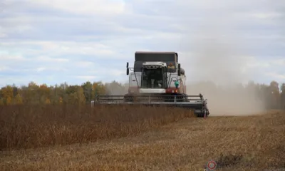 В хозяйствах Глазуновского района намолотили свыше 122 тысяч тонн зерновых и зернобобовых культур