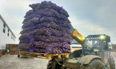 Из Орла российским бойцам отправили партию местной картошки