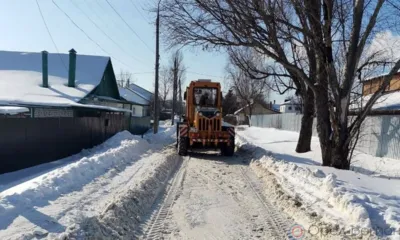 Орловцы могут обращаться в жилинспекцию с жалобами на уборку дворов управляющими компаниями