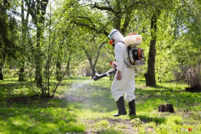 В Орле временно закрыли для посещения Городской и Детский парки