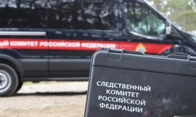 Отец юной орловчанки обратился к Бастрыкину по вопросу нарушения её прав