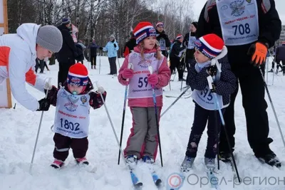 Влияние занятий лыжным спортом на здоровье человека