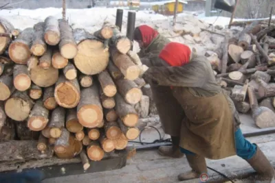 Трудолюбивы или ленивы россияне?