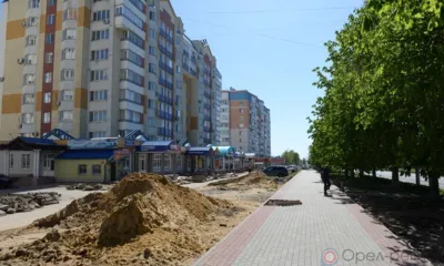 На улице Комсомольской в Орле высадят 130 новых деревьев