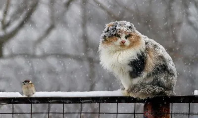 На Орловщине ожидается мокрый снег, дождь и ветер до 20 м/с