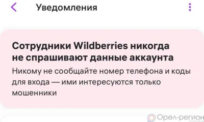 Мошенники обзванивают орловцев от лица сотрудников Wildberries